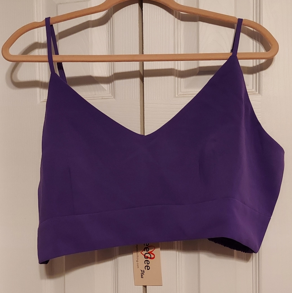 GeeGee Purple Cropped Top 2xl